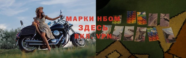 дживик Валдай