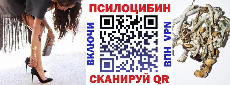 Галлюциногенные грибы GOLDEN TEACHER  Купить  Истра 